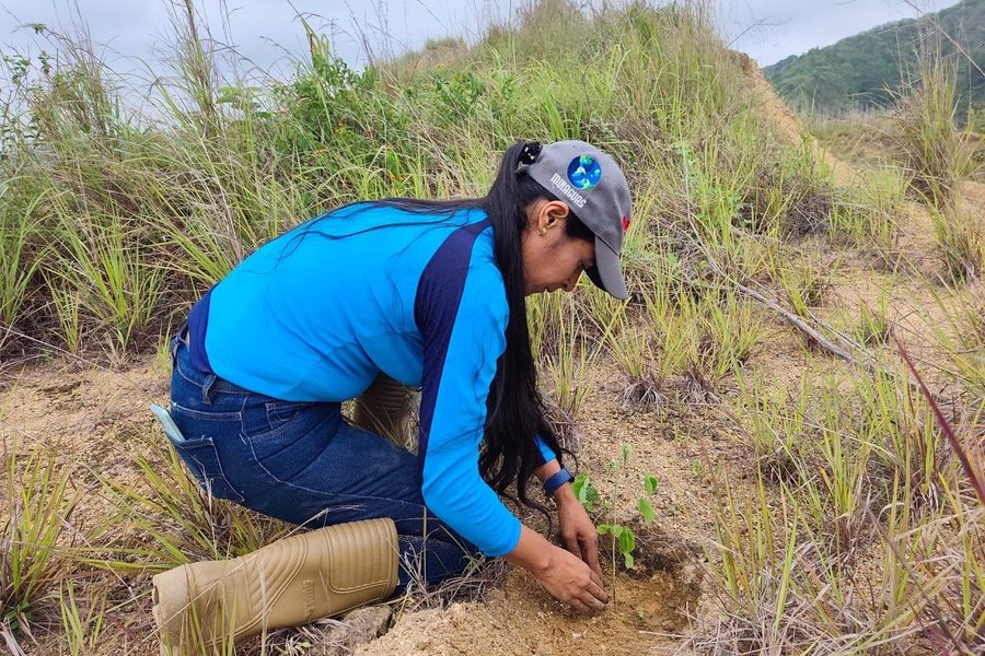 Plan Nacional de Reforestación Chuquisaca avanza en Yaracuy con la plantación de 285 árboles