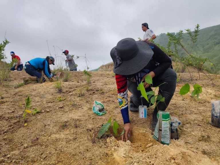 Plan Nacional de Reforestación Chuquisaca avanza en Yaracuy con la plantación de 285 árboles