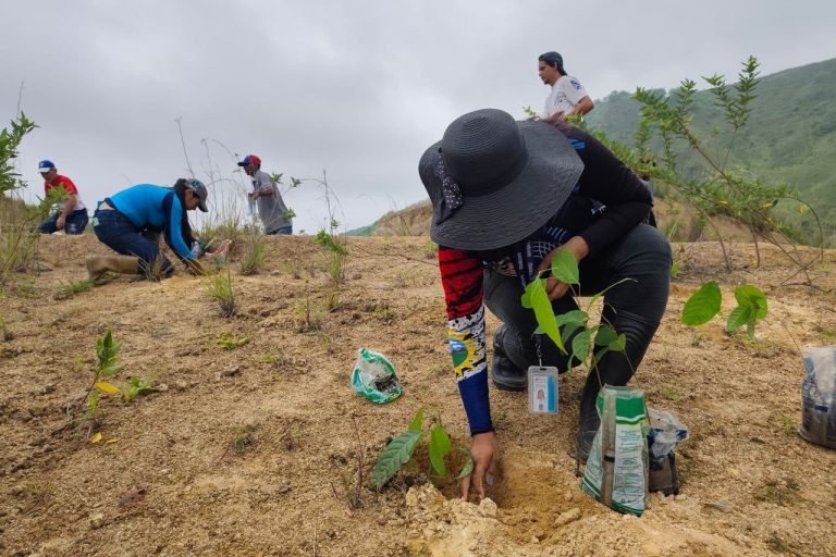 Plan Nacional de Reforestación Chuquisaca avanza en Yaracuy con la plantación de 285 árboles