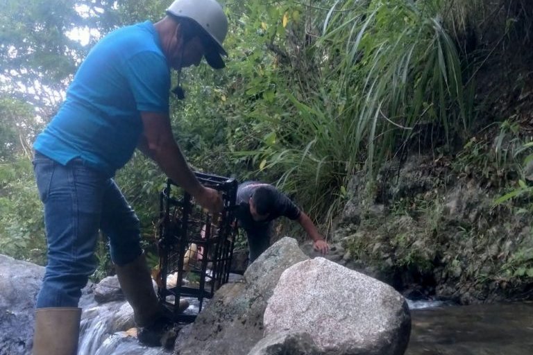 Hidroven optimiza servicio de agua tras limpieza del acueducto El Cambur en el estado Mérida