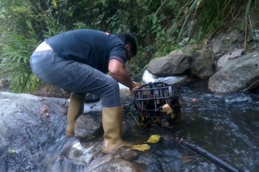 Hidroven optimiza servicio de agua tras limpieza del acueducto El Cambur en el estado Mérida