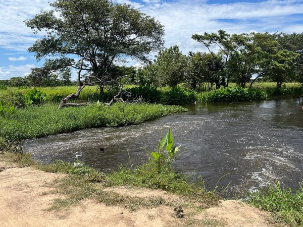 Avanza la limpieza y canalización del caño Caramacate en Apure
