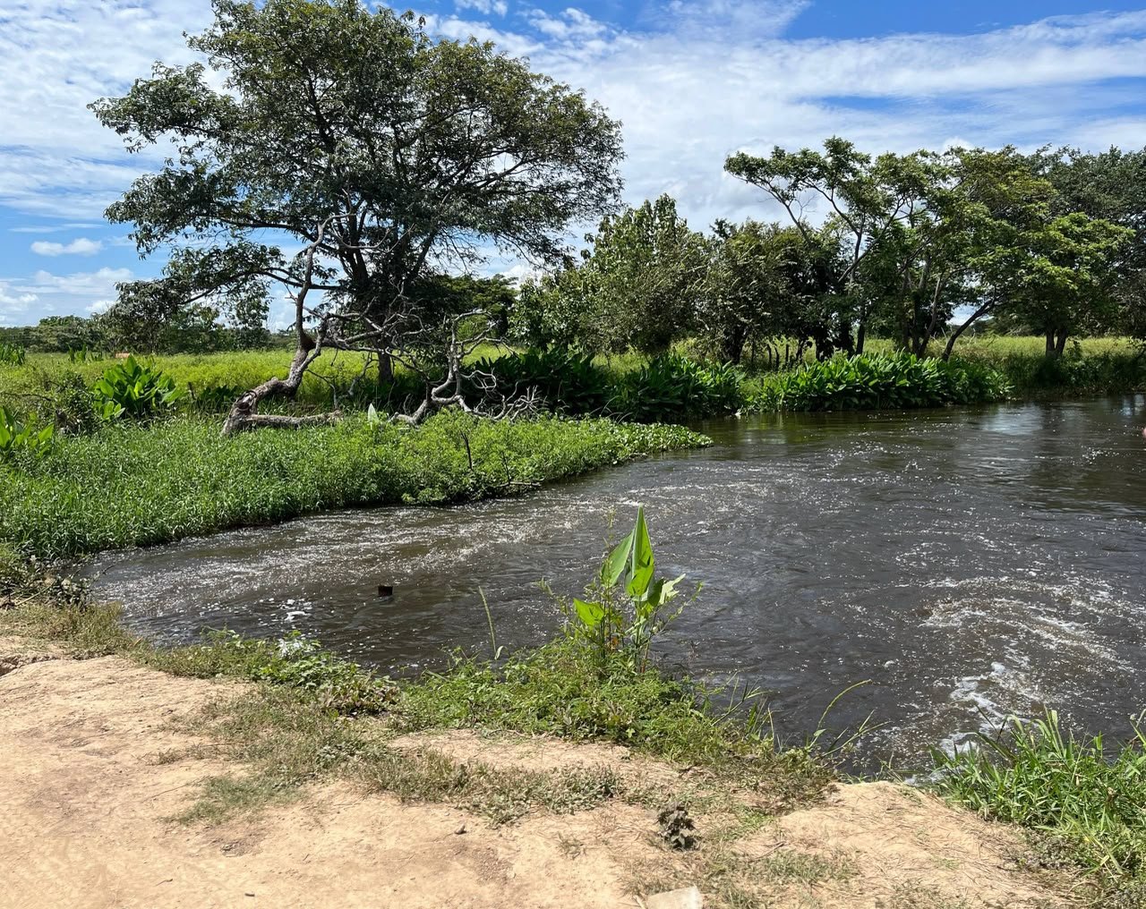 Avanza la limpieza y canalización del caño Caramacate en Apure