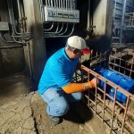 Gobierno Bolivariano garantiza el vital líquido a más de 100 familias en Jabillal de Macaira​ estado Guárico