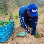 Plan Nacional de Reforestación Chuquisaca avanza en Yaracuy con la plantación de 285 árboles