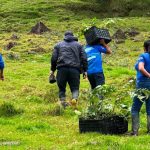 Minaguas lideró reforestación de 300 árboles en Táchira para preservar fuentes hídricas