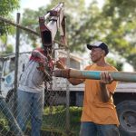 Gobierno Bolivariano duplica el suministro hídrico en el estado Miranda