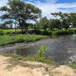 Avanza la limpieza y canalización del caño Caramacate en Apure